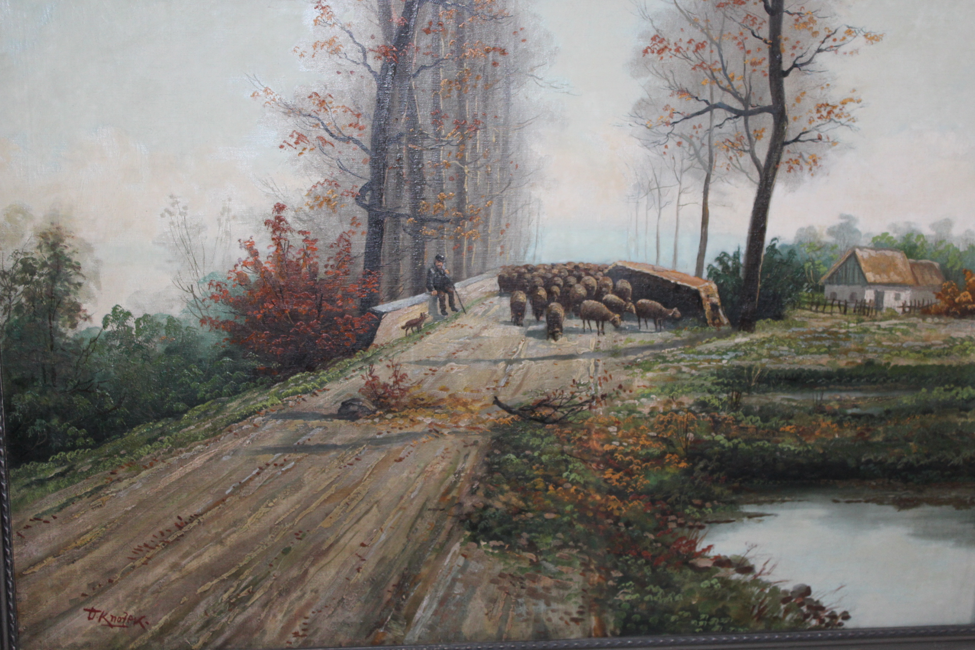 KNOTEK, PASÁČEK OVCÍ