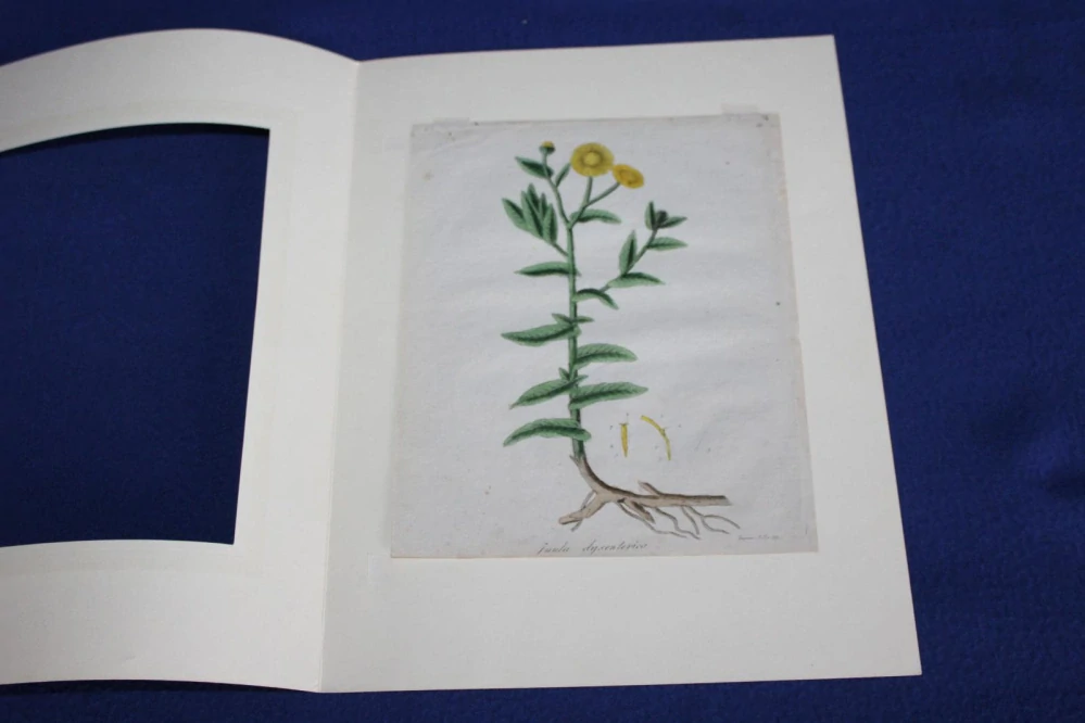 STARÁ LITOGRAFIE, OBRÁZEK