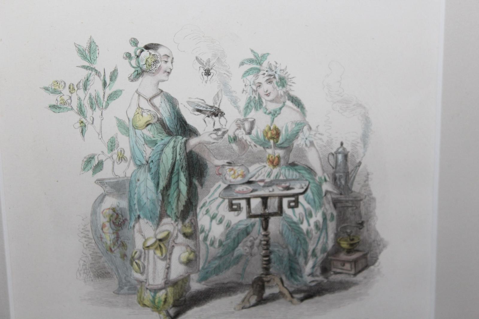 KOLOROVANÁ RYTINA, OBRAZ