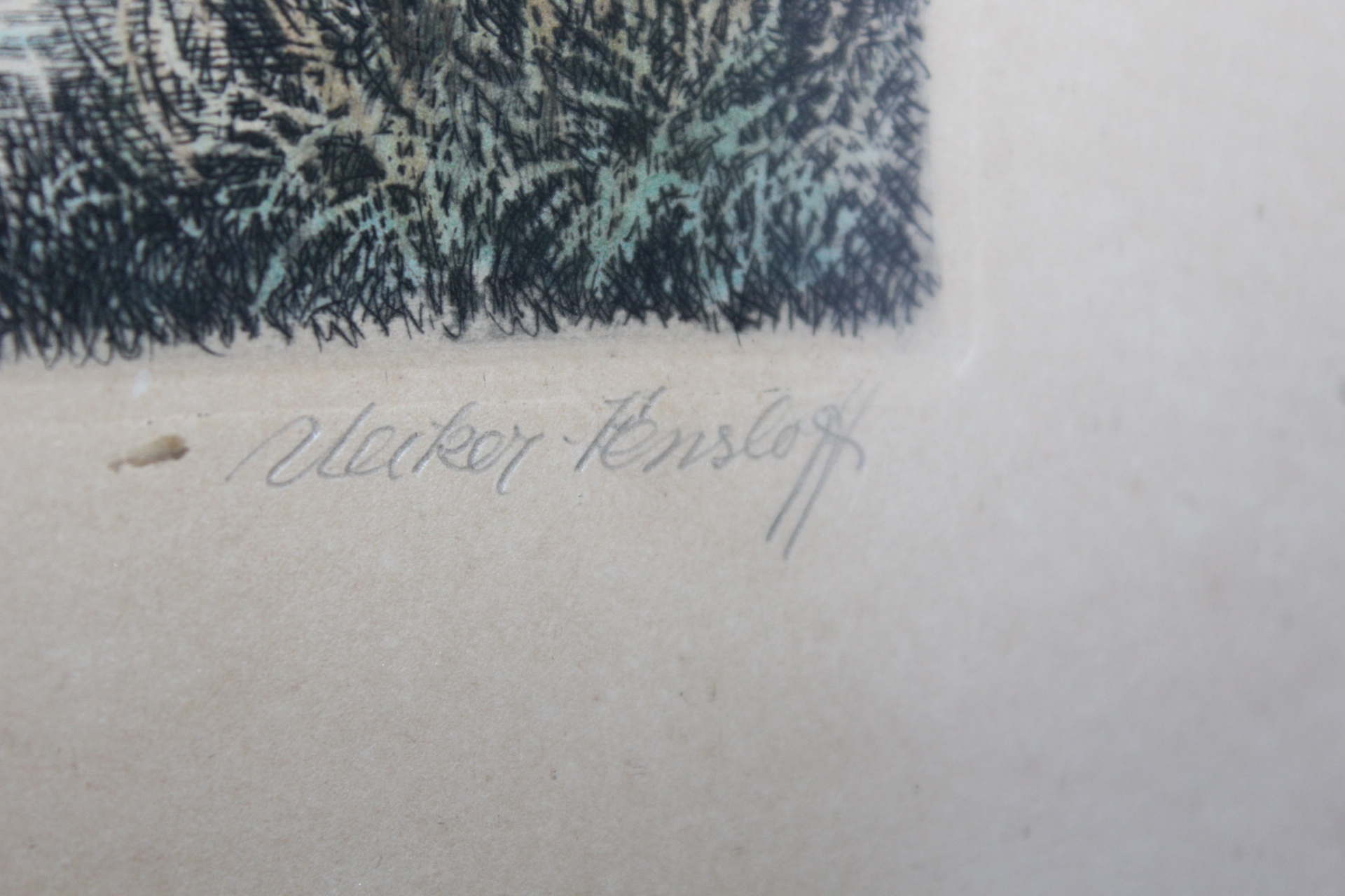 KOLOROVANÁ RYTINA, OBRAZ, signováno