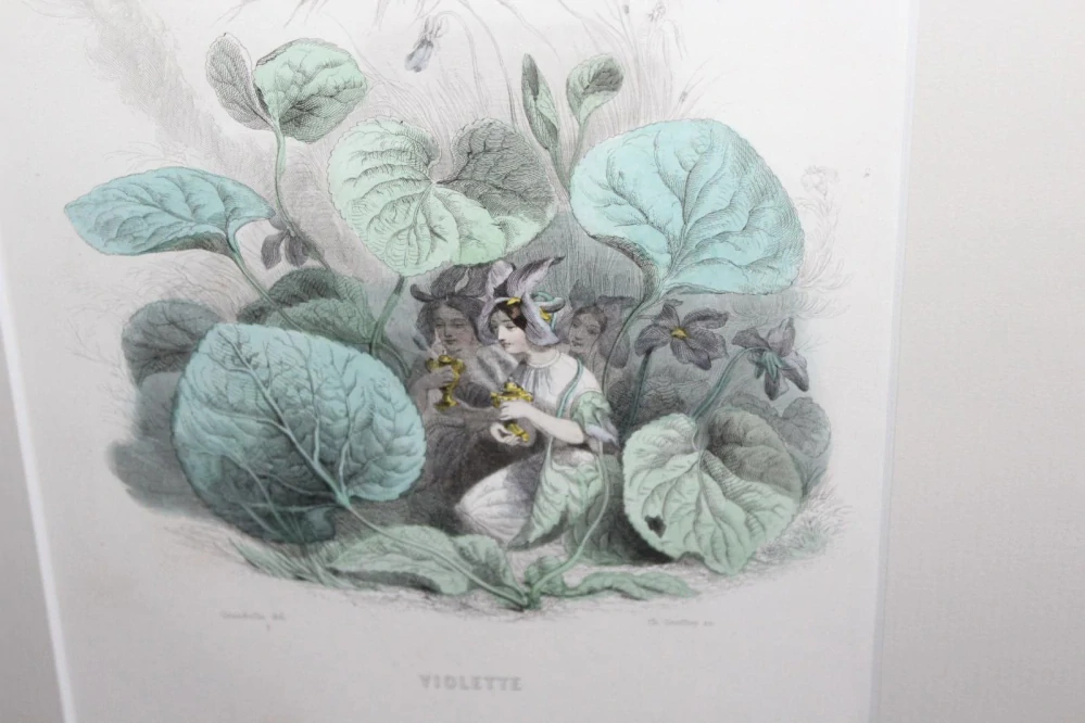 KOLOROVANÁ RYTINA, OBRAZ