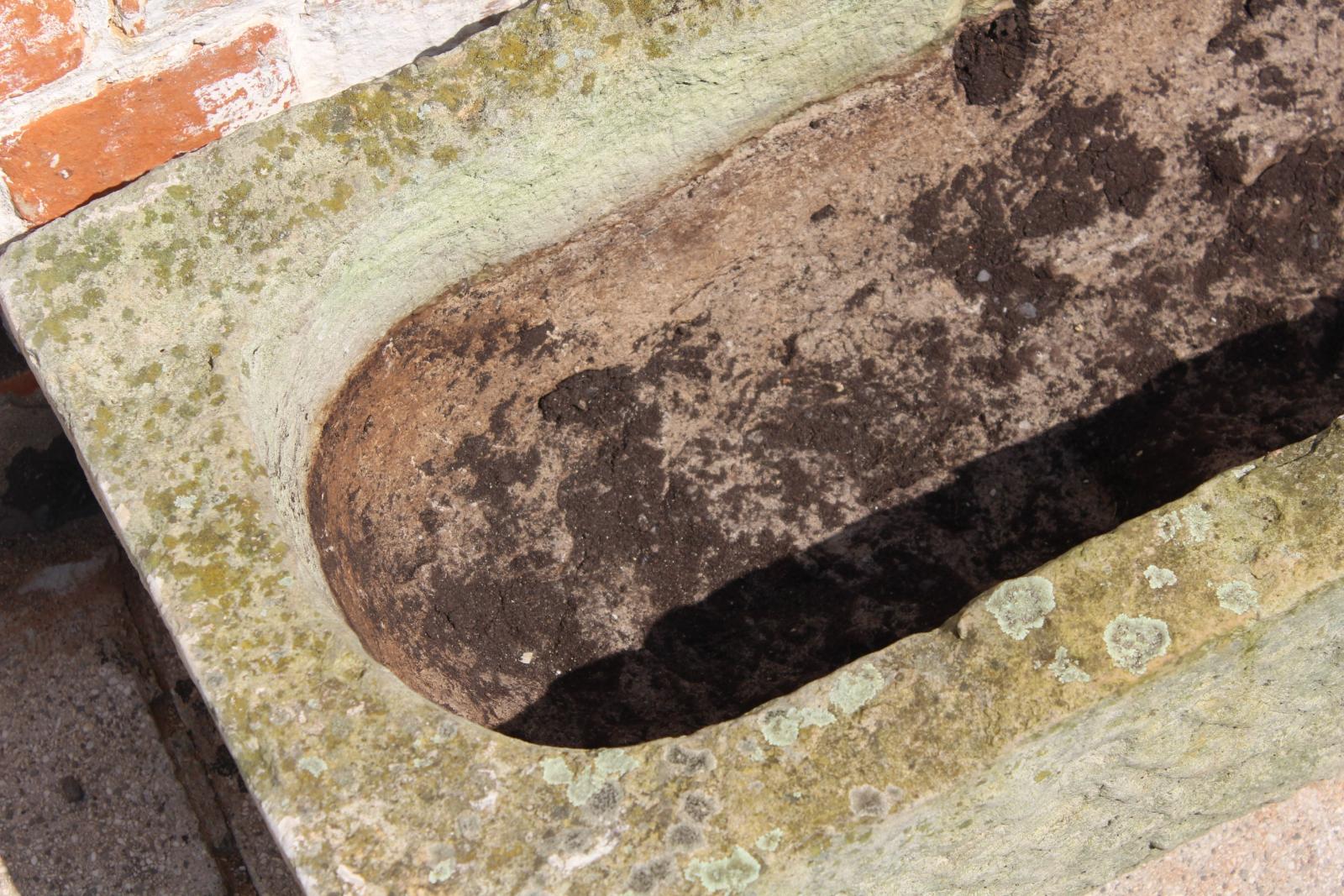 STAROŽITNÉ KORYTO, KVĚTINÁČ