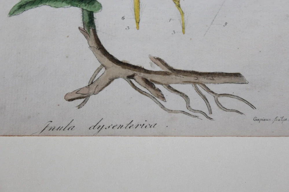 STARÁ LITOGRAFIE, OBRÁZEK