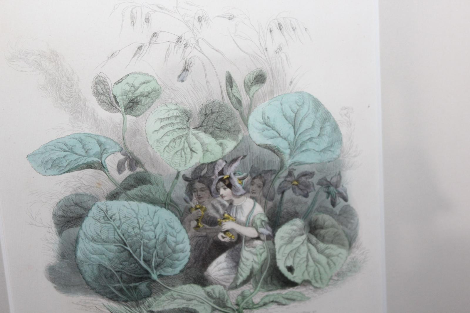 KOLOROVANÁ RYTINA, OBRAZ