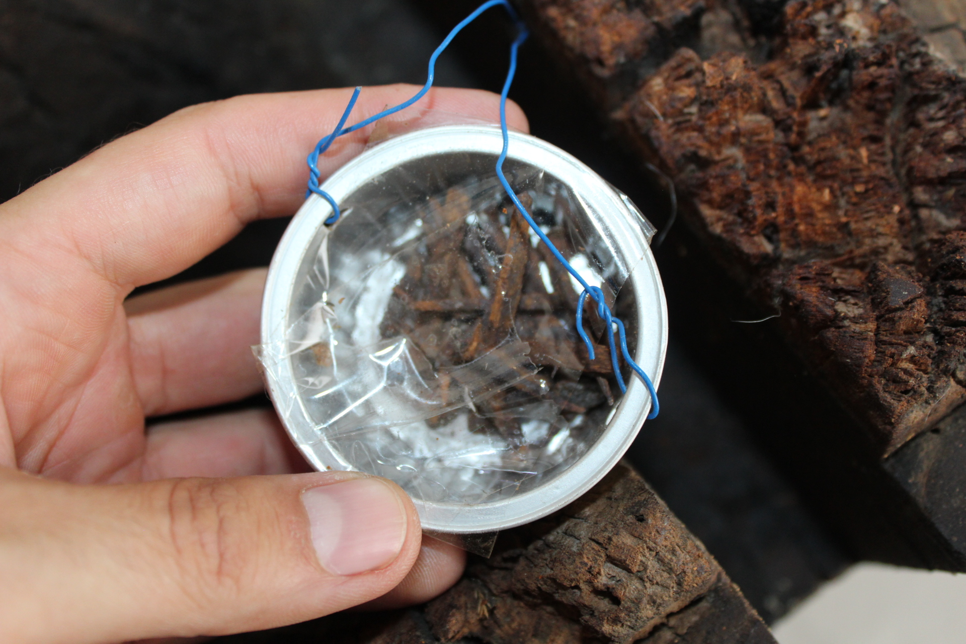 DŘEVOŘEZBA ČERTA, ÚSTÍ KOVÁŘSKÉHO MĚCHU