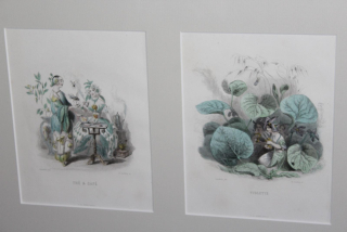 KOLOROVANÁ RYTINA, OBRAZ